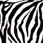 Stoffa zebra