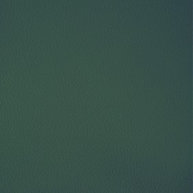 Vera pelle LE verde
