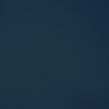 Vera pelle LE blu
