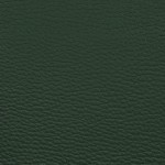 Similpelle verde scuro