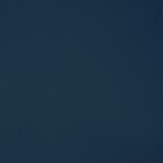 Vera pelle blu