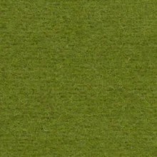 Stoffa in lana SWO802 verde