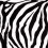 Stoffa disegno "Zebra"