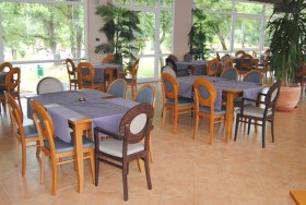 Sedia medaglione con braccioli ALESSIA AL