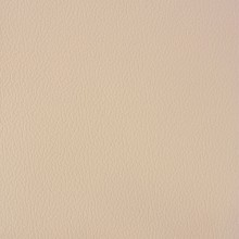 Vera pelle LE beige