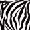 Stoffa zebra